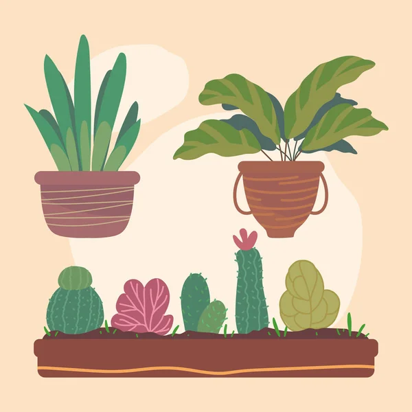 Planta de interior icono conjunto — Vector de stock