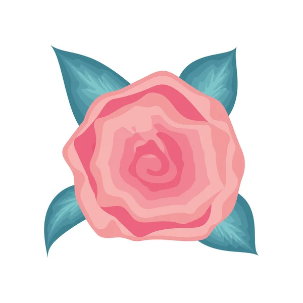 Rose Fleur Rose Feuilles Icône — Image vectorielle