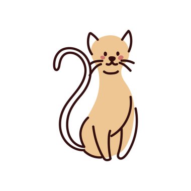 Kedi şirin evde beslenen hayvan