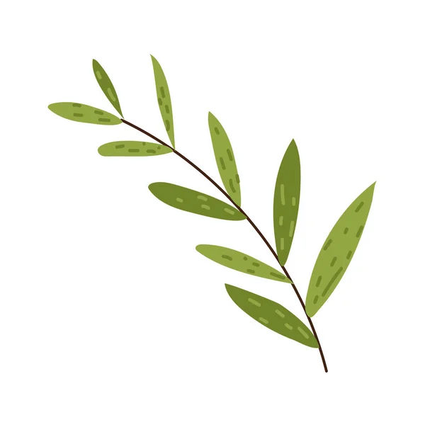 Bladeren Leves plant — Stockvector