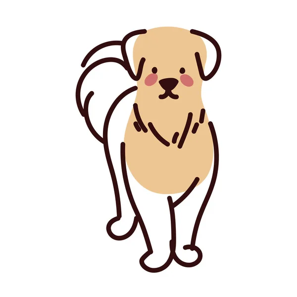 Perro grande linda mascota — Vector de stock