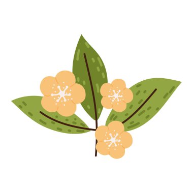 çiçekler ve yapraklar