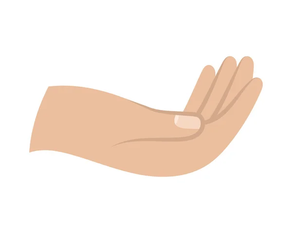 Mão humana recebendo gesto — Vetor de Stock