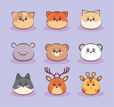 kawaii hayvanları karşı karşıya