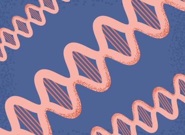 DNA molekül yapısı