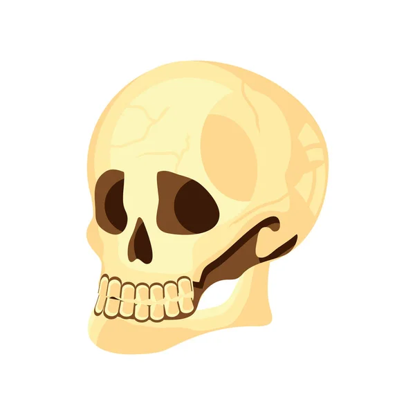 Icono del cráneo plano — Archivo Imágenes Vectoriales