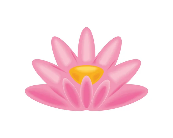 Lotusblume Natur — Stockvektor