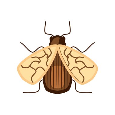 böcek çizgi film simgesi