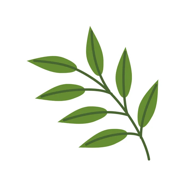 Tak plant natuur — Stockvector