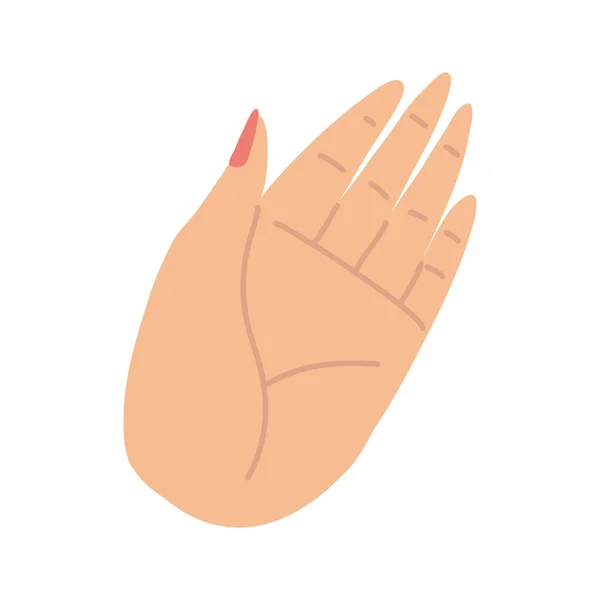 Erhobene weibliche Hand — Stockvektor