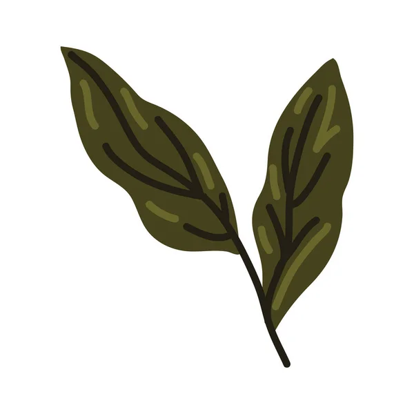 Liście ikony roślin — Wektor stockowy