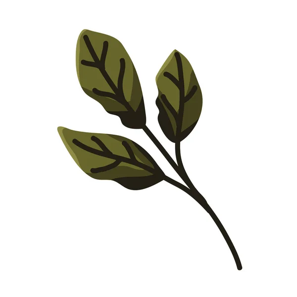 Branche nature icône — Image vectorielle