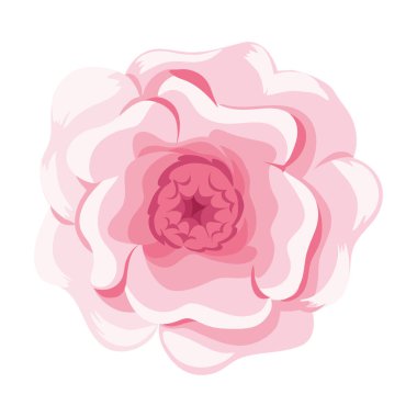 çiçek vektör simgesi