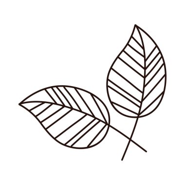 doğrusal doğayı terk eder