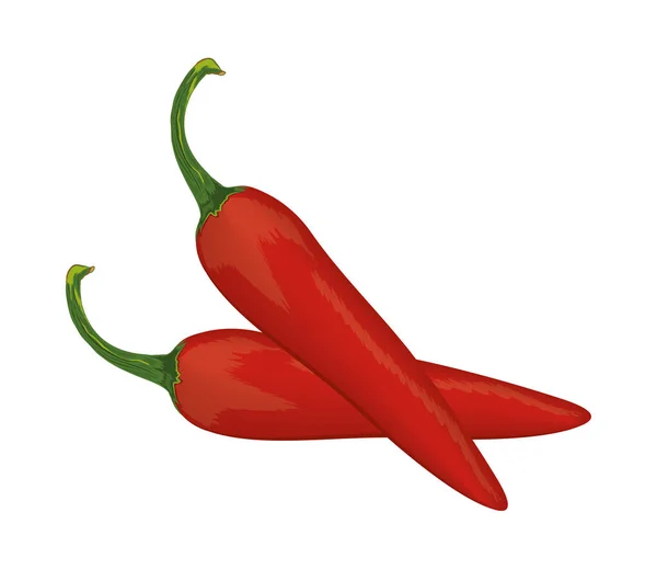 Chile icono vegetal pimienta — Vector de stock