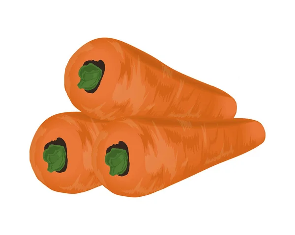 Morötter grönsaksikon — Stock vektor