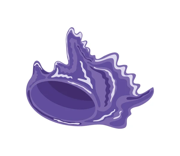 Concha de mar púrpura — Vector de stock