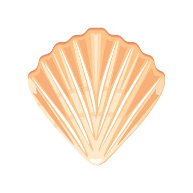 Deniz kabuğu vektör simgesi