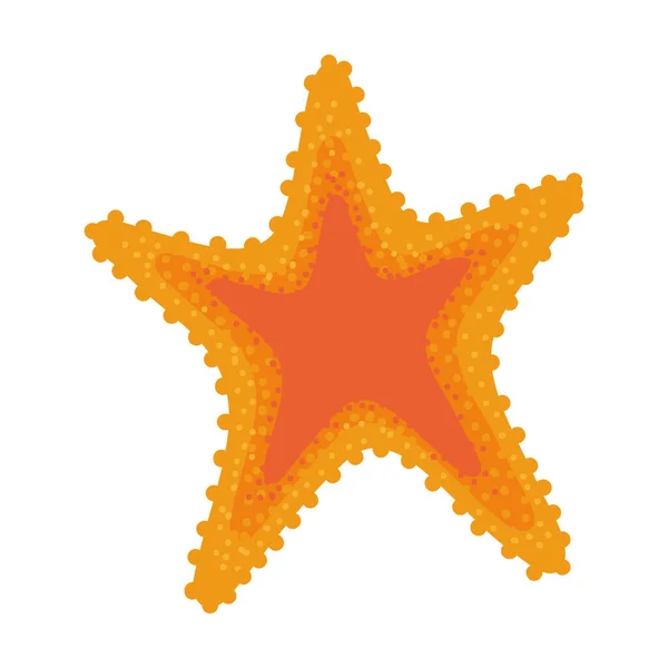 Estrella de mar vida marina — Vector de stock