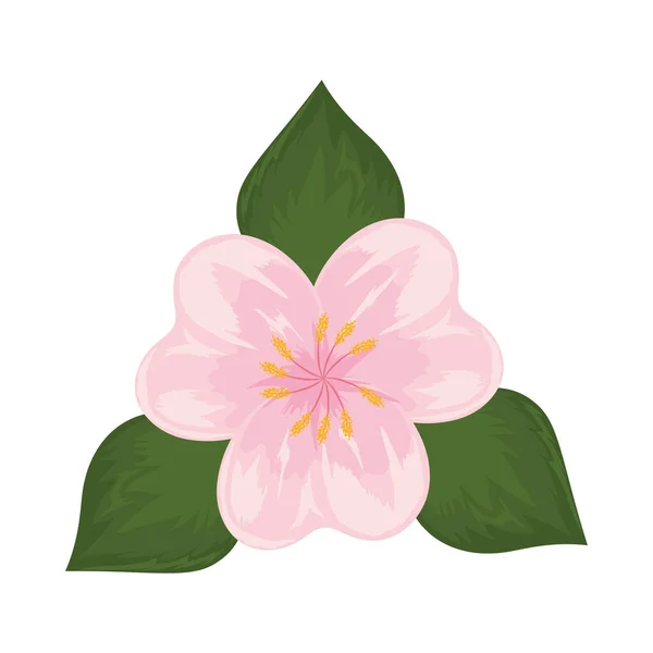 Flor y hoja — Vector de stock