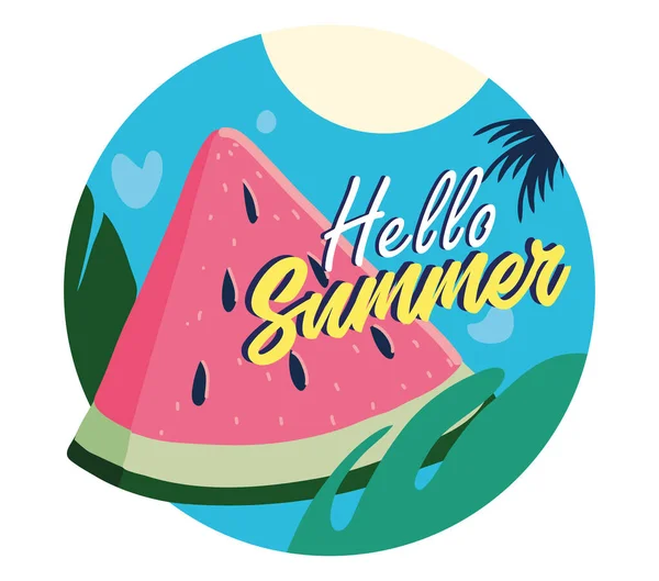 Hola temporada de verano — Archivo Imágenes Vectoriales