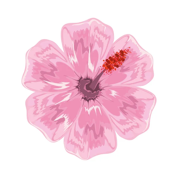 Flor hibisco natureza — Vetor de Stock
