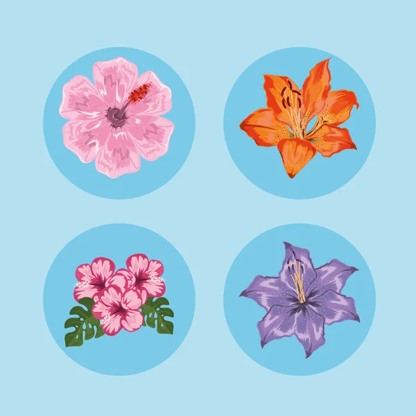 Conjunto de flores — Vector de stock