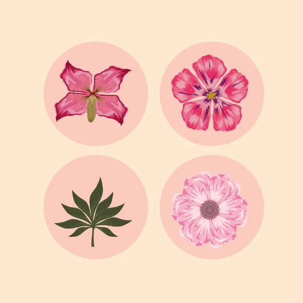 花和叶子 — 图库矢量图片