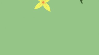 Sarı çiçekli bahar dekorasyonu