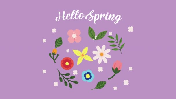 Hola letras de primavera en la animación del patrón floral — Vídeos de Stock