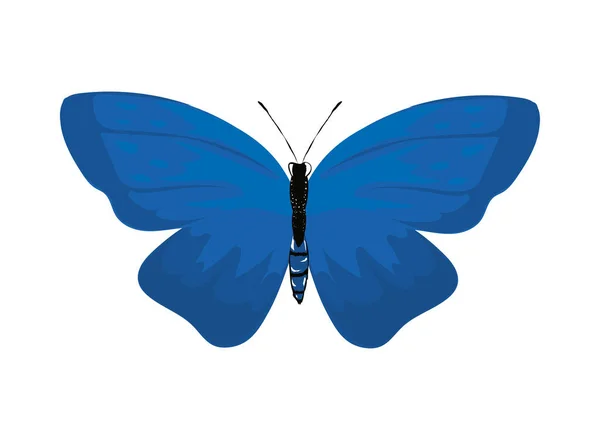 Ícone borboleta azul — Vetor de Stock