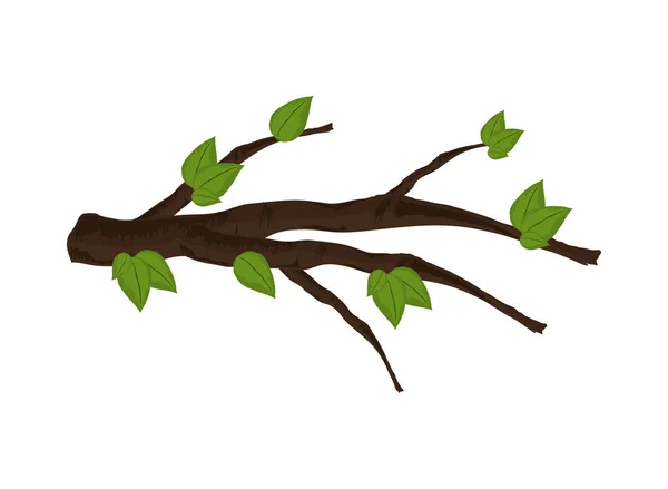 Zweigbaumblätter — Stockvektor