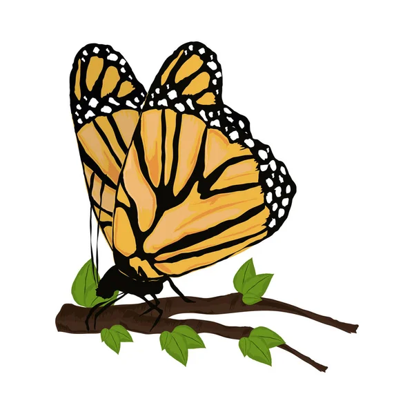 Farfalla sull'albero dei rami — Vettoriale Stock