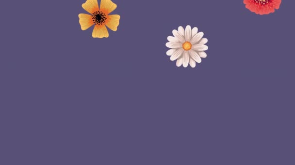 Frühling Jahreszeit Blumen Muster Animation — Stockvideo