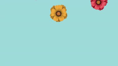 bahar çiçekleri desenli mevsimsel animasyon