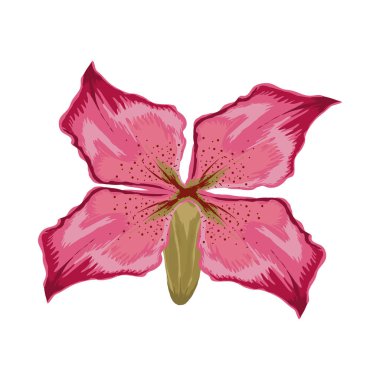 çiçek dekorasyon simgesi