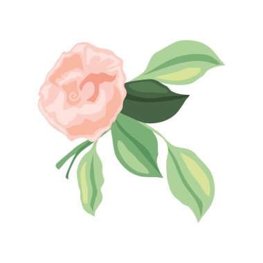 şirin çiçek simgesi