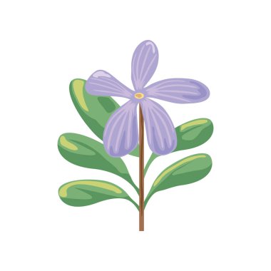 çiçek ve yapraklar