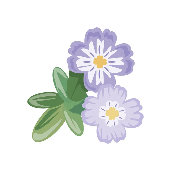 Lilac flowers nature — стоковый вектор