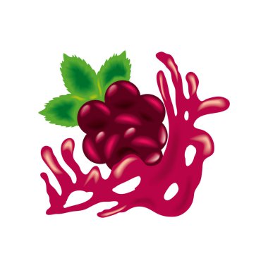 Böğürtlen tazeliği