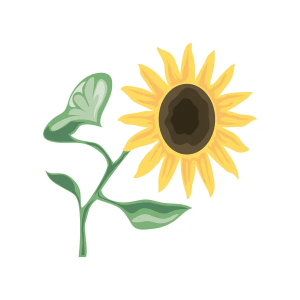 Girasol y hojas — Vector de stock