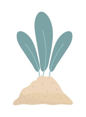 toprakta bitki yetiştirme