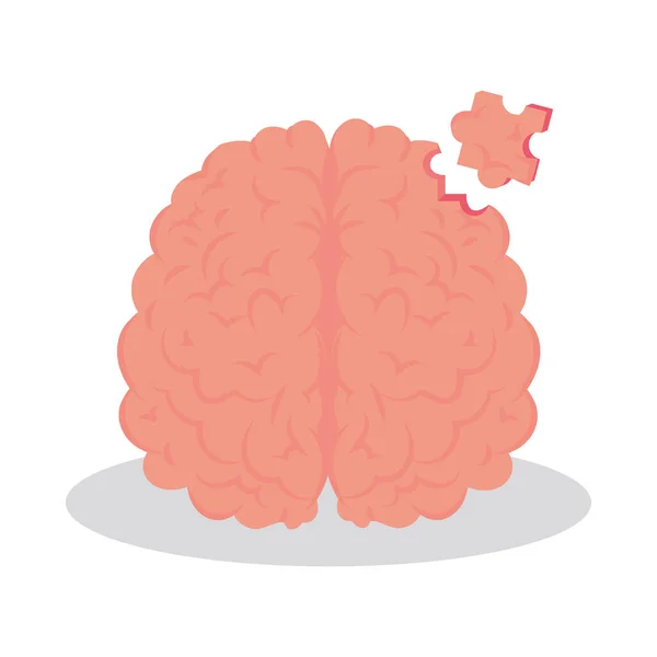 Human brain puzzle — Stock Vector