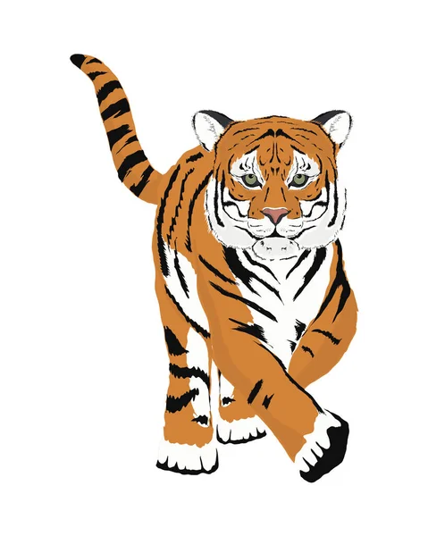 Animal tigre peligroso — Vector de stock