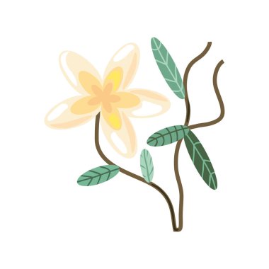 narin çiçek ve yaprak