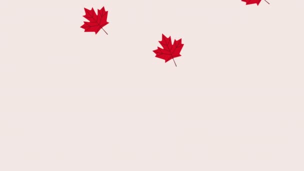 Canadian leafs pattern celebration animation — Stockvideo