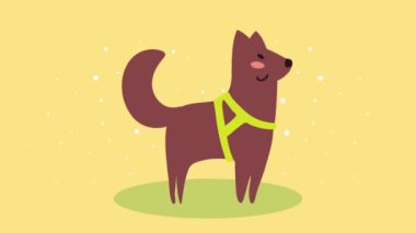 sevimli evcil köpek animasyonu