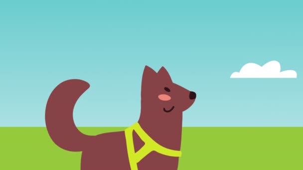 Cute domestic dog pet animation — Stockvideo