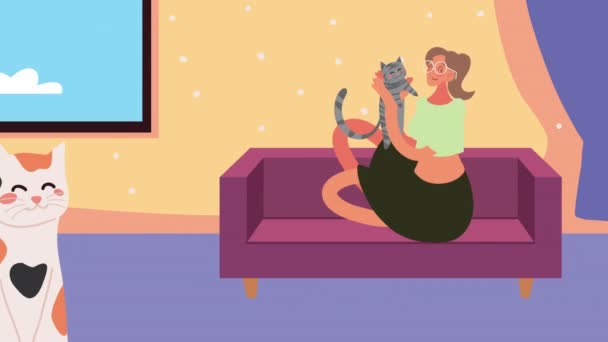 cute domestic cat with owner animation