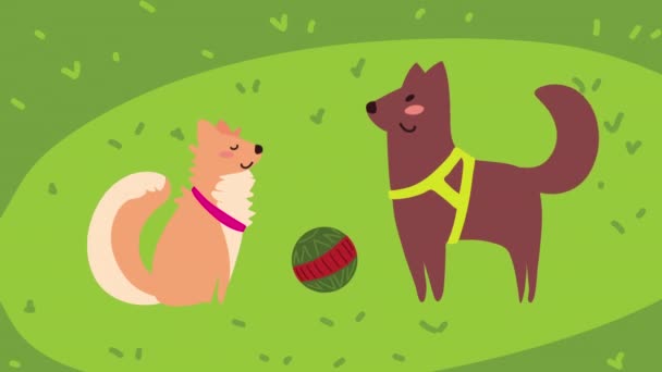 Cute domestic mascots animation — Wideo stockowe